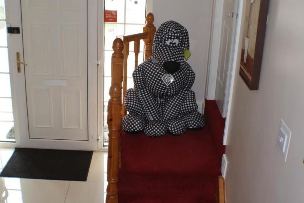 Eske Villa Bed And Breakfast Donegal Town Екстериор снимка